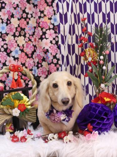 20250115シオンくん